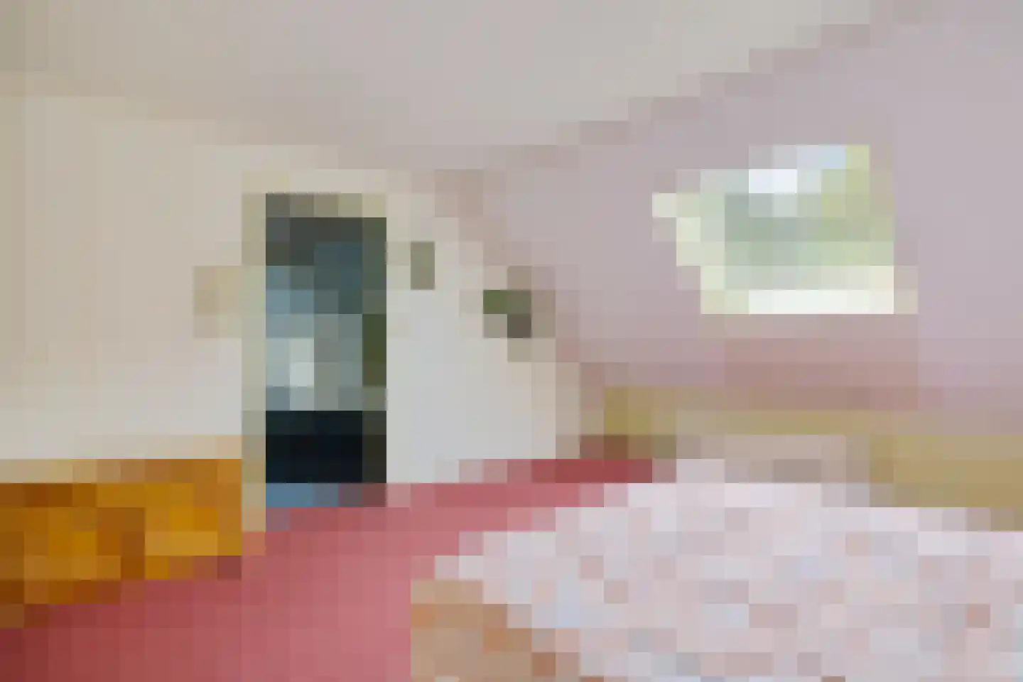 Wijsterseweg 6 Mantinge thumbnail 29