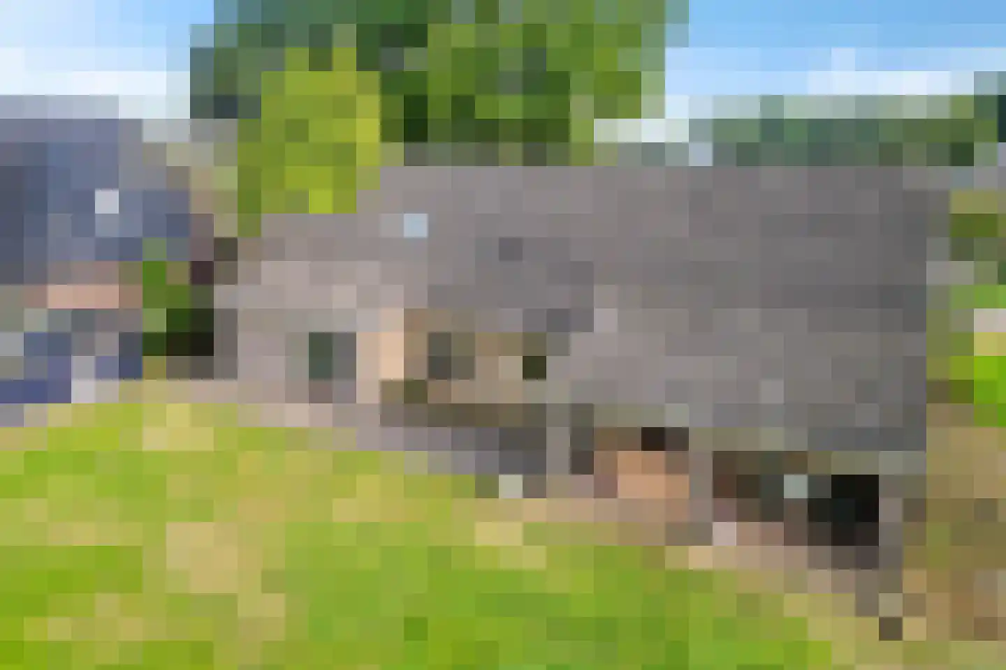 Wijsterseweg 6 Mantinge thumbnail 35