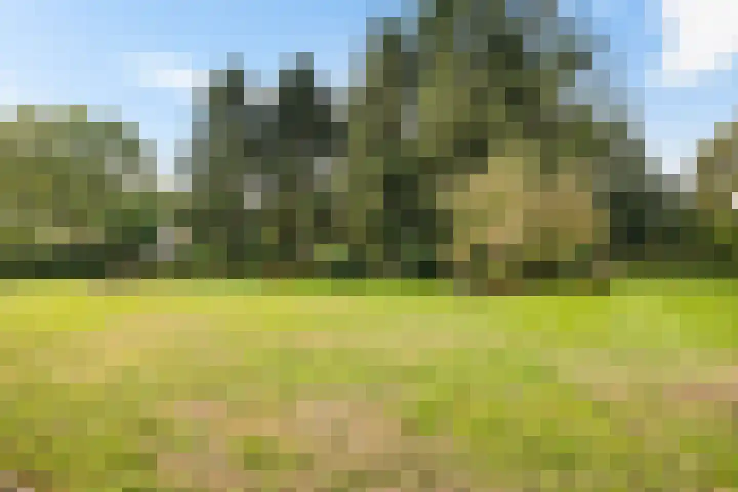 Wijsterseweg 6 Mantinge thumbnail 37