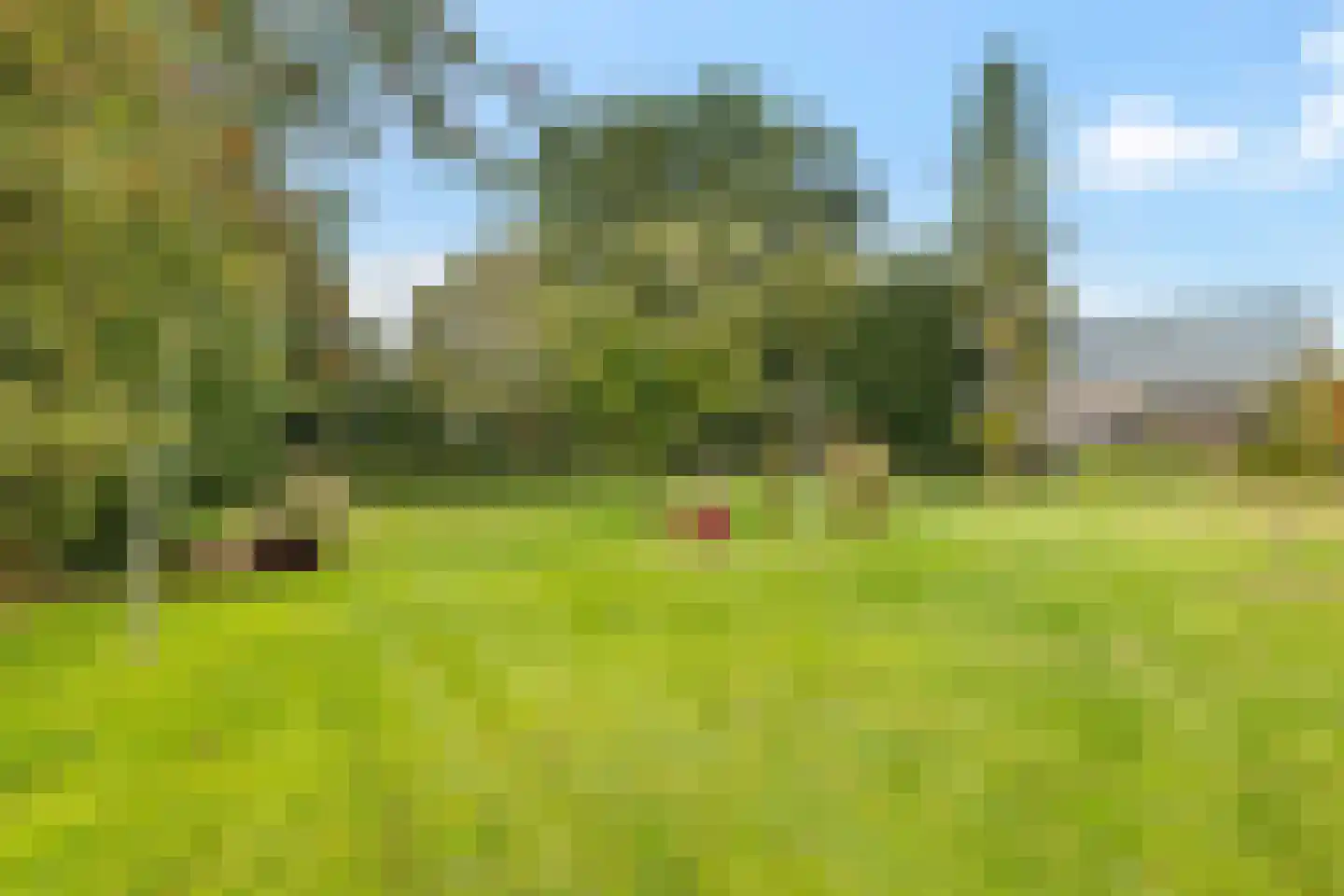 Wijsterseweg 6 Mantinge thumbnail 39