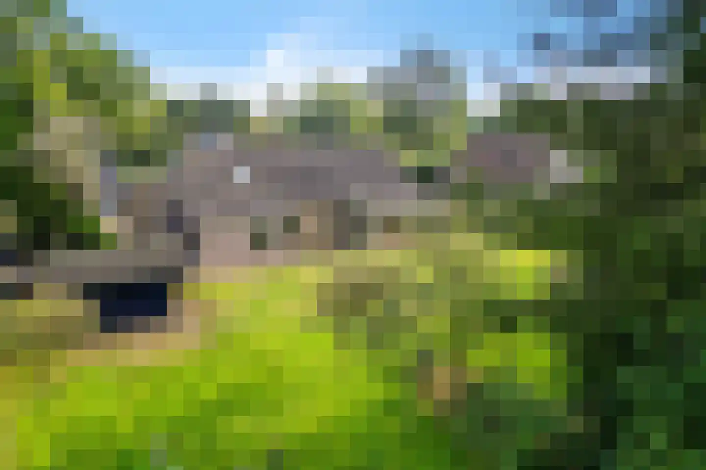 Wijsterseweg 6 Mantinge thumbnail 4