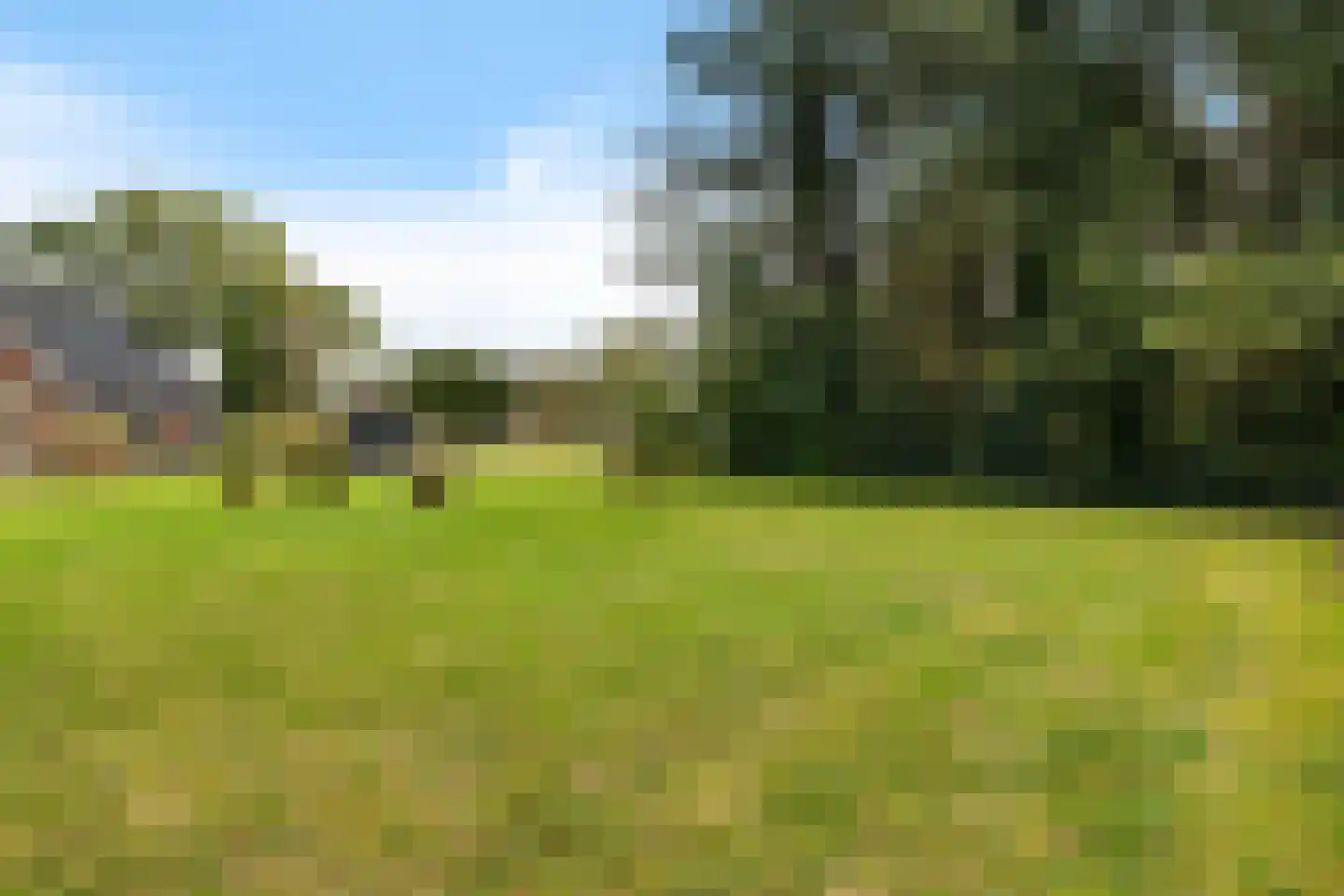 Wijsterseweg 6 Mantinge thumbnail 40