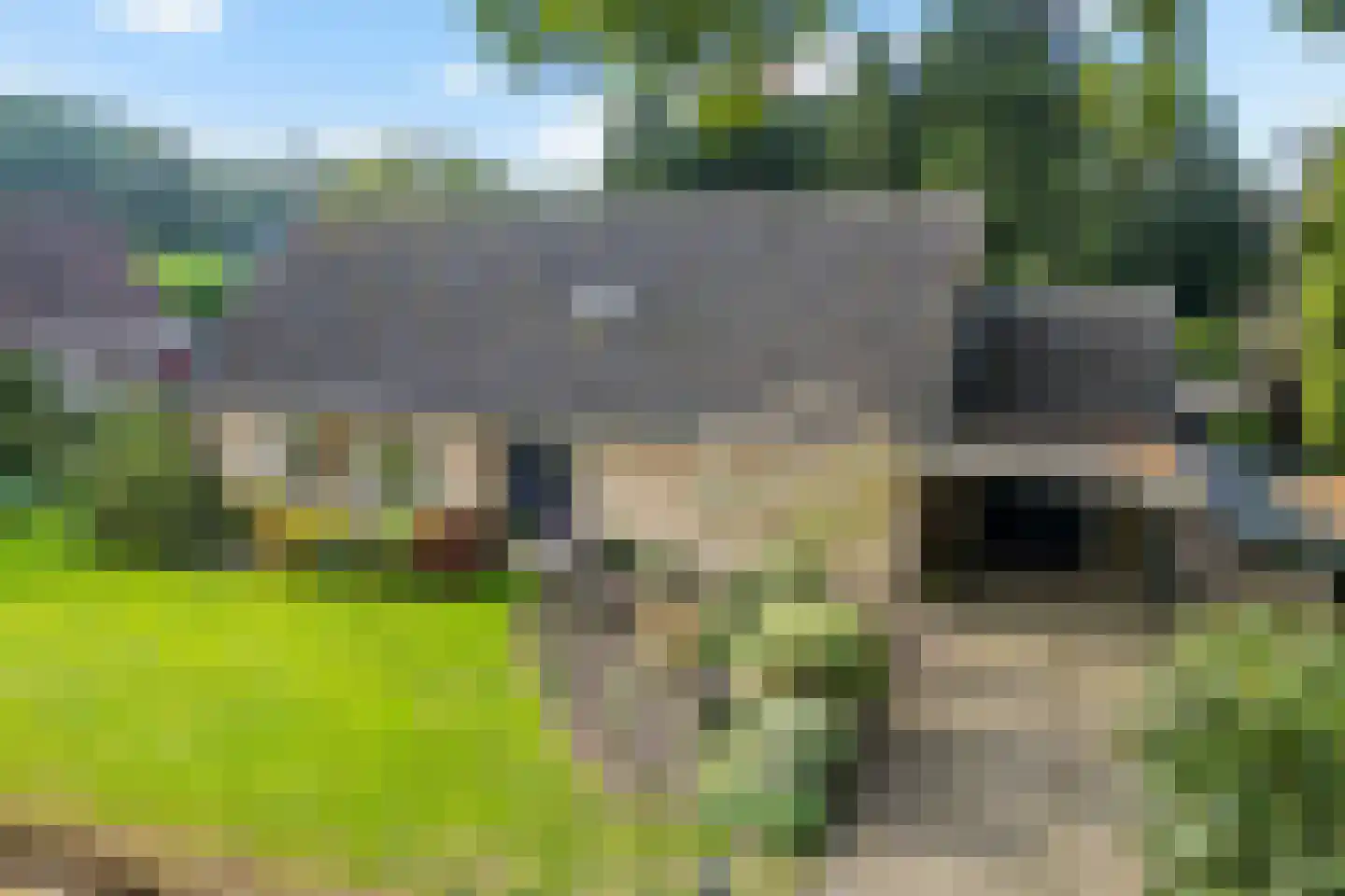 Wijsterseweg 6 Mantinge thumbnail 42