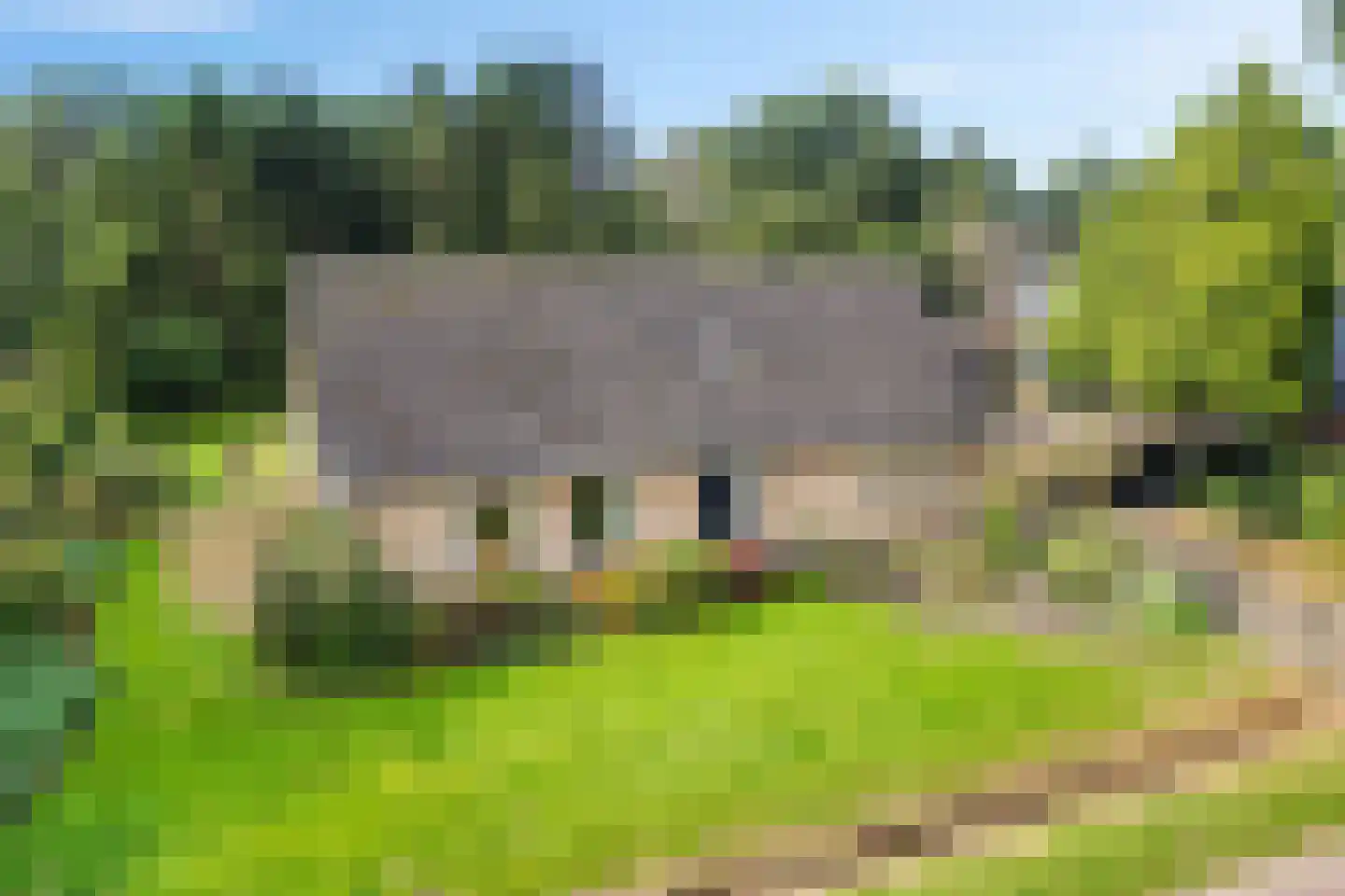 Wijsterseweg 6 Mantinge thumbnail 43