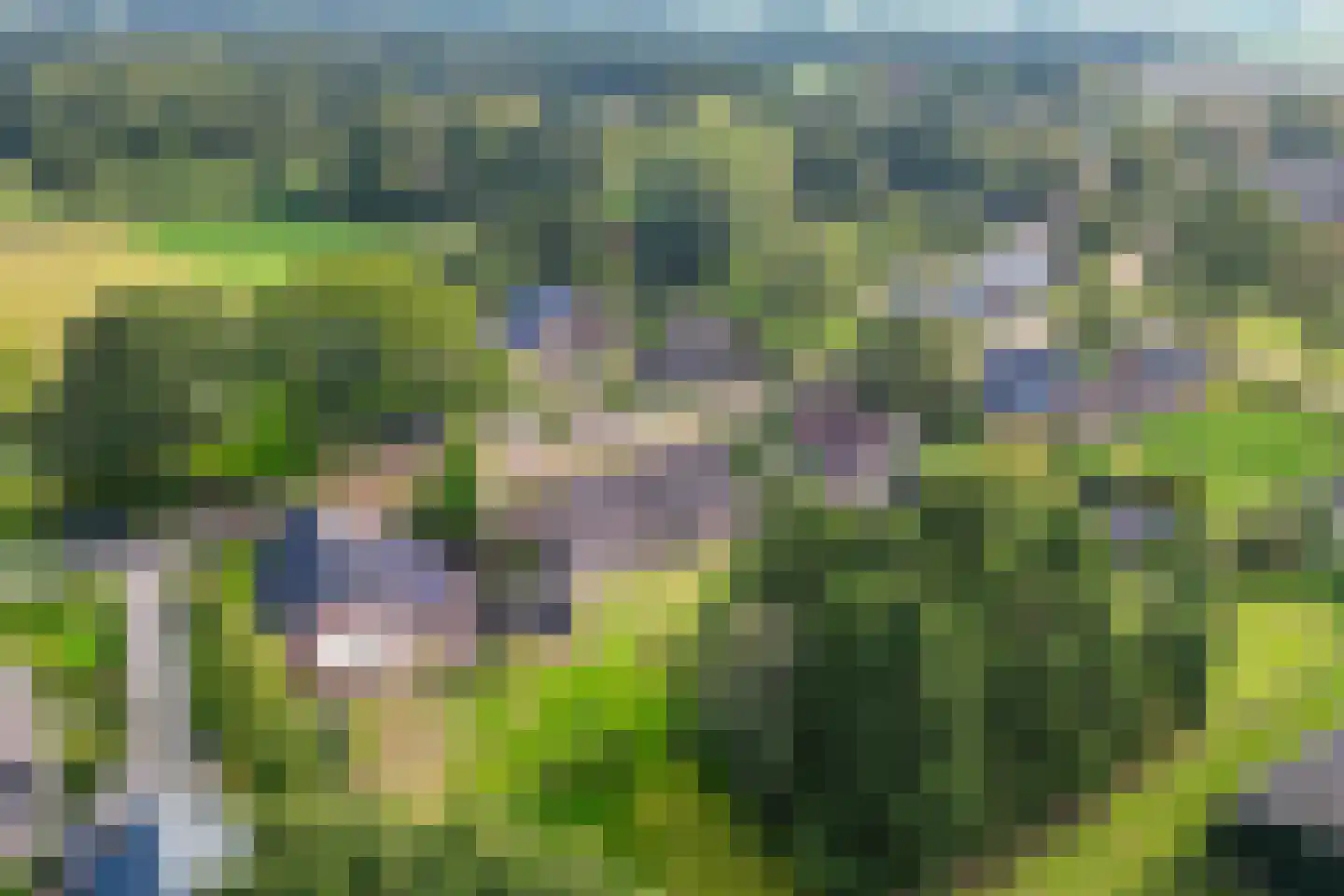 Wijsterseweg 6 Mantinge thumbnail 44