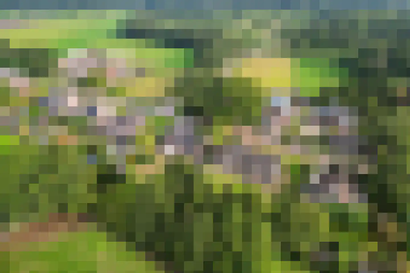Wijsterseweg 6 Mantinge thumbnail 45