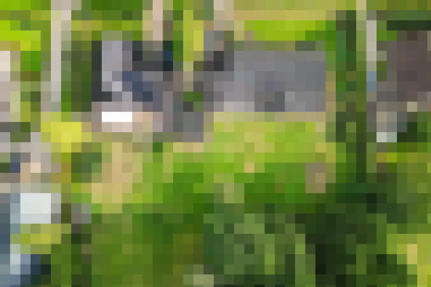 Wijsterseweg 6 Mantinge thumbnail 46