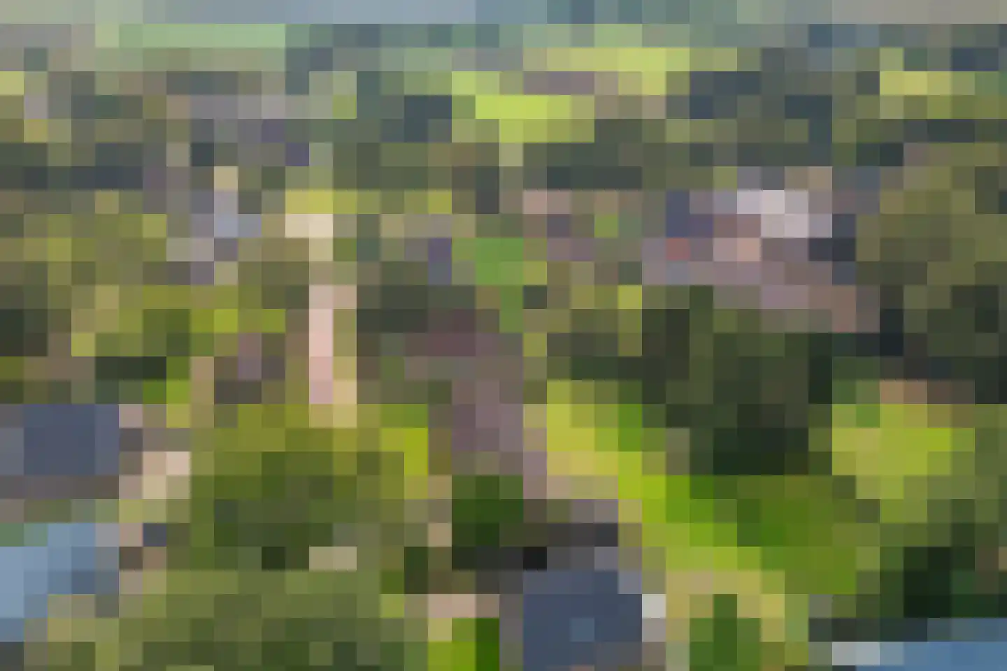 Wijsterseweg 6 Mantinge thumbnail 48