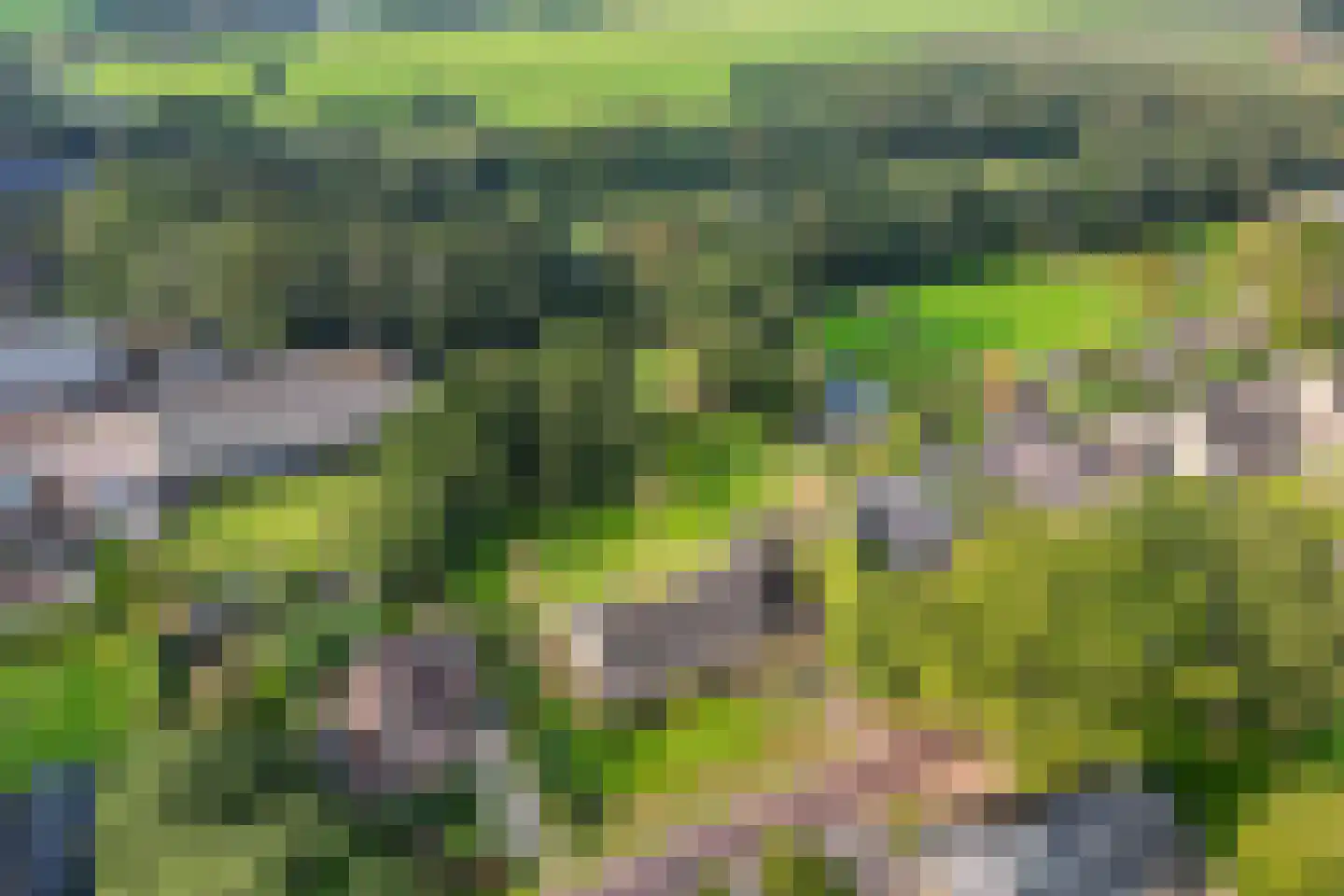 Wijsterseweg 6 Mantinge thumbnail 7