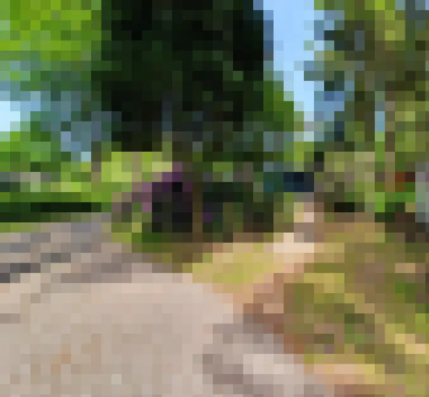 Wijsterseweg 9 17 Spier thumbnail 14