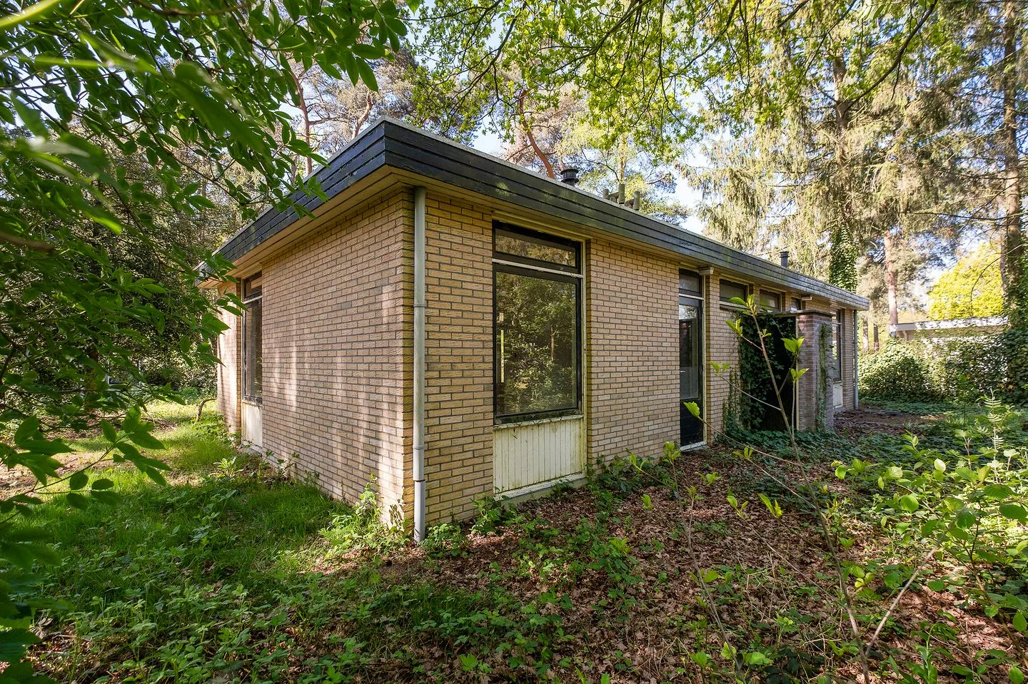 Wijsterseweg 9 17 Spier thumbnail 5