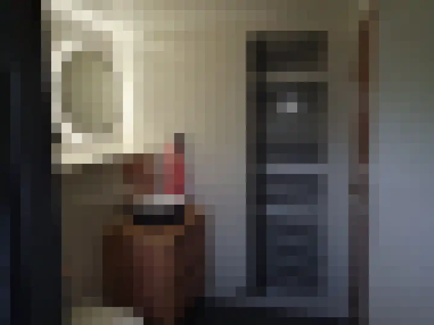 Wijsterseweg 9 17 Spier thumbnail 9
