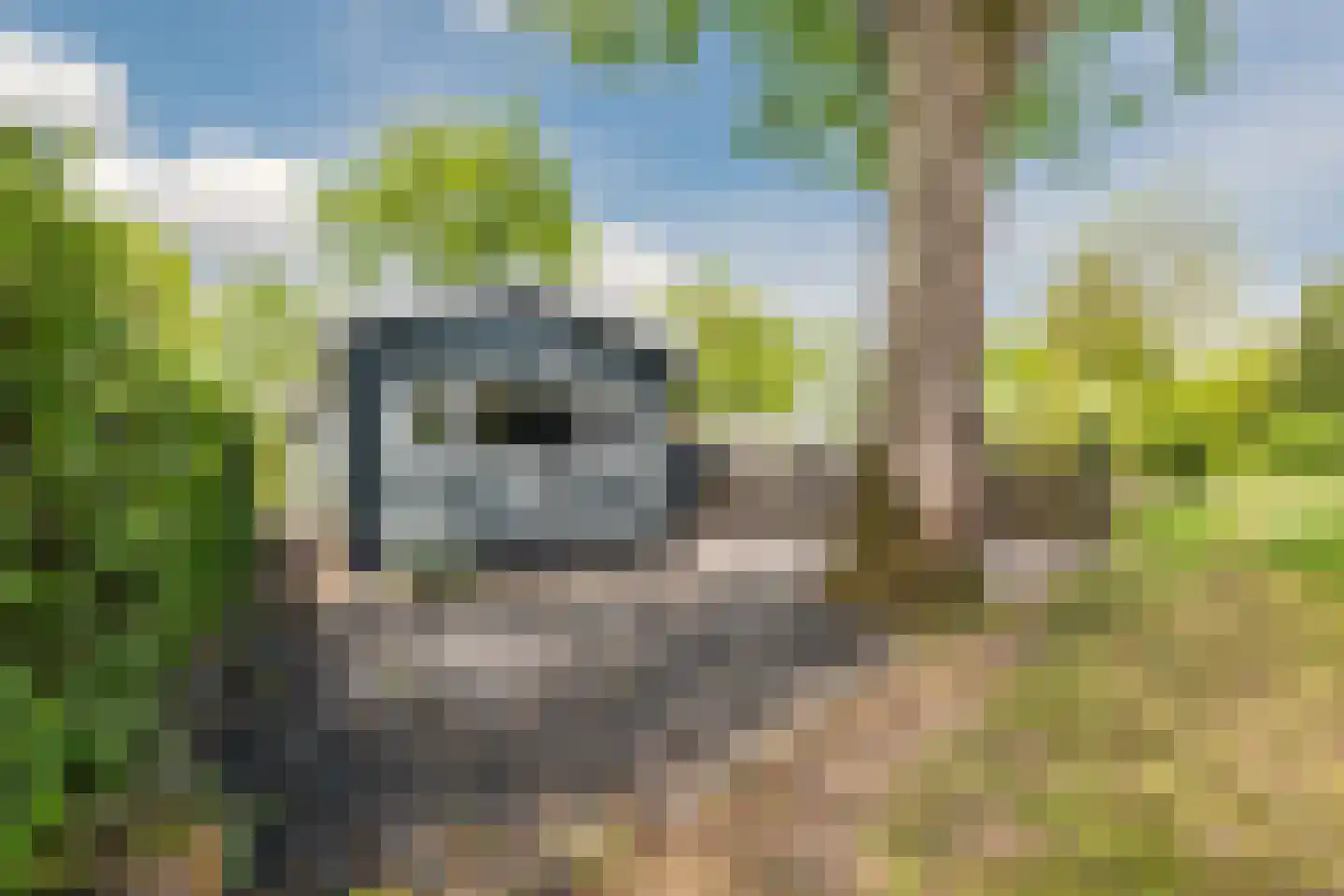 Wijsterseweg 9 19 Spier thumbnail 27