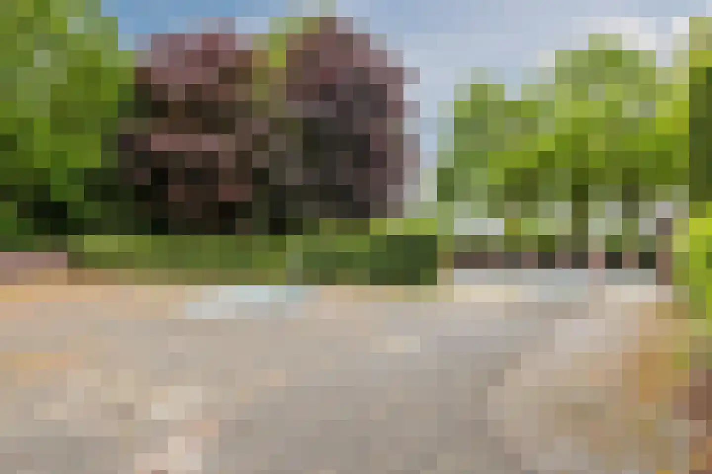 Wijsterseweg 9 19 Spier thumbnail 32