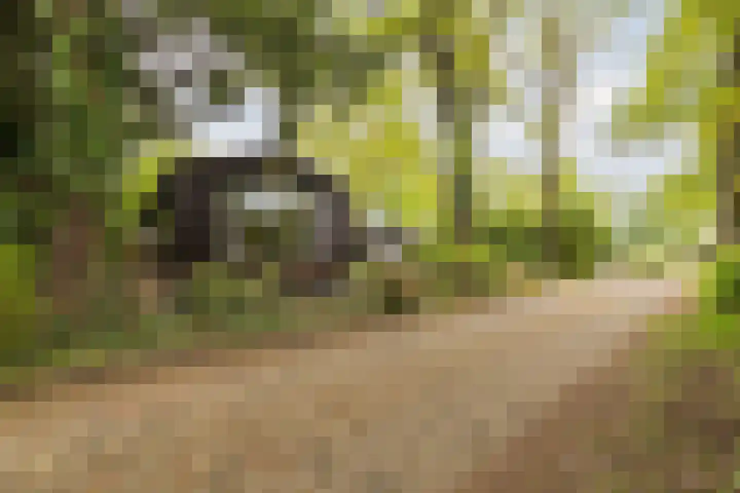Wijsterseweg 9 19 Spier thumbnail 33
