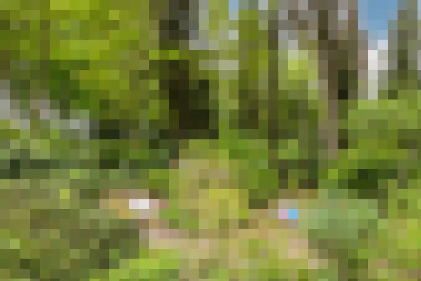 Wijsterseweg 9 19 Spier thumbnail 34