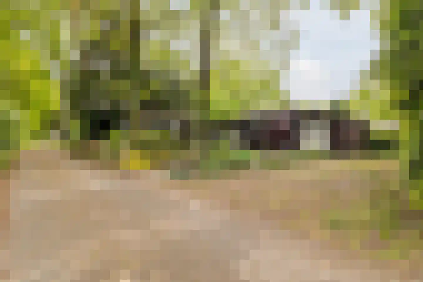 Wijsterseweg 9 19 Spier thumbnail 34