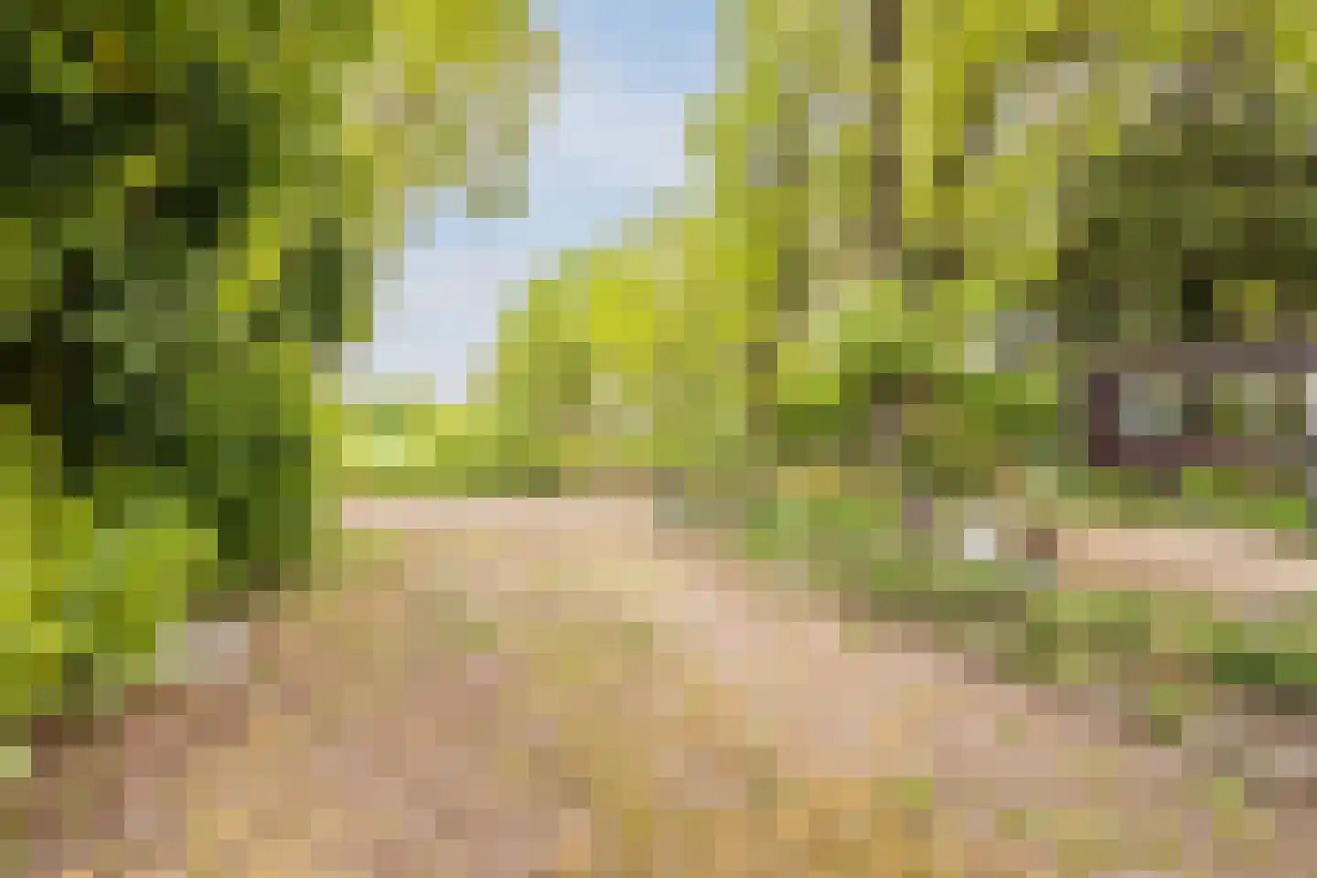 Wijsterseweg 9 19 Spier thumbnail 35