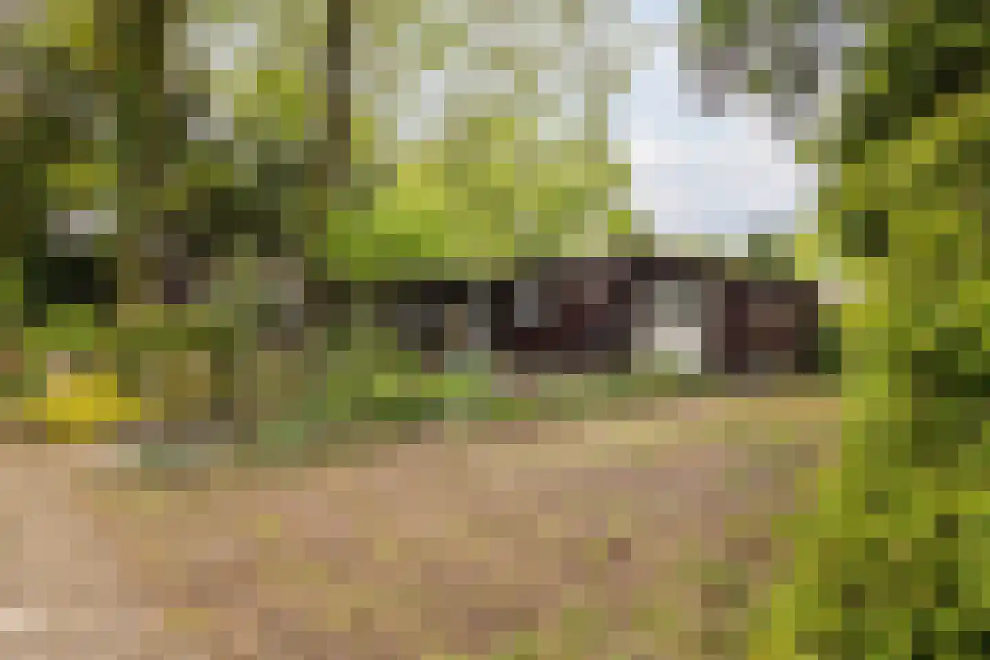 Wijsterseweg 9 19 Spier thumbnail 36