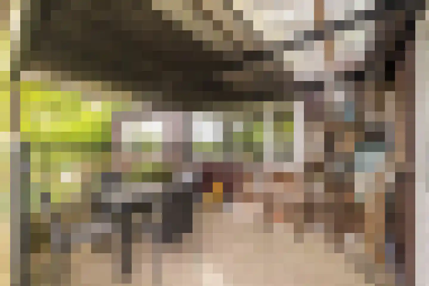 Wijsterseweg 9 19 Spier thumbnail 38
