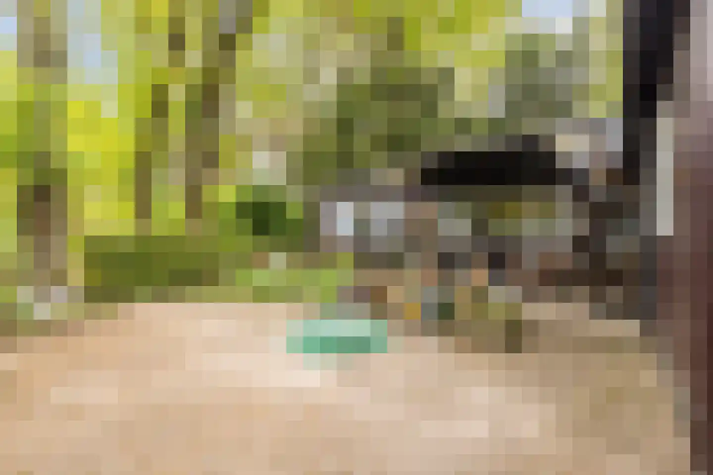 Wijsterseweg 9 19 Spier thumbnail 4
