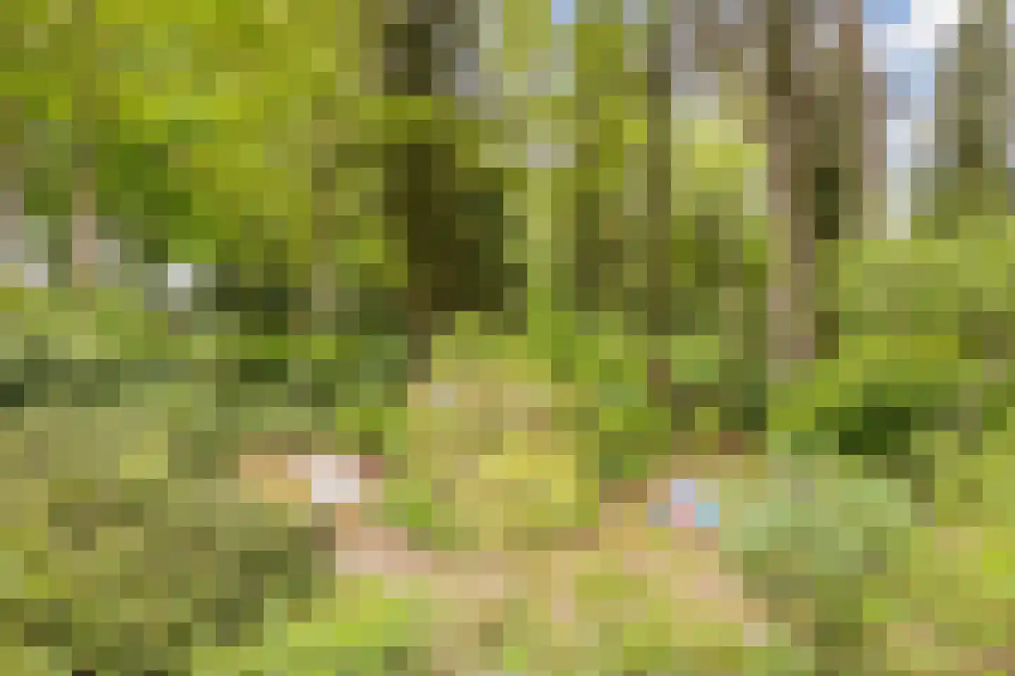 Wijsterseweg 9 19 Spier thumbnail 44