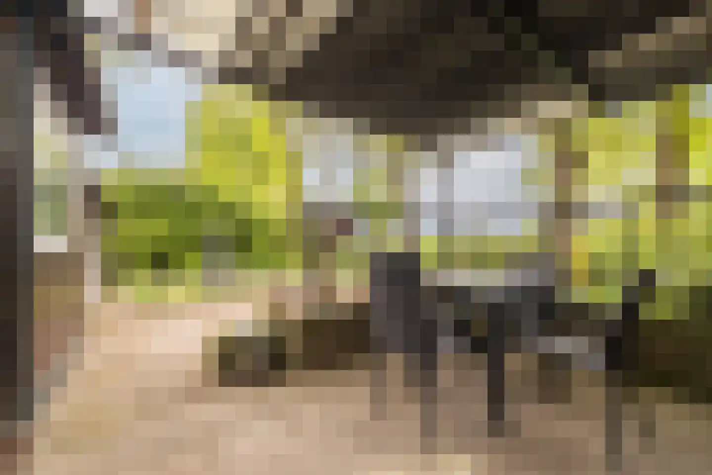Wijsterseweg 9 19 Spier thumbnail 5