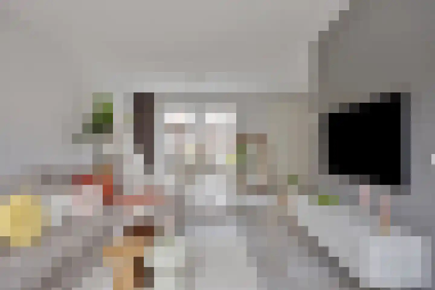 Wijstgrond 24 Boekel thumbnail 17