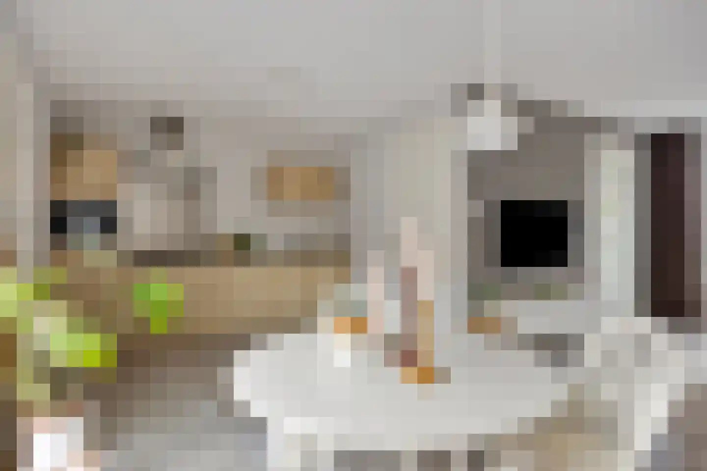 Wijstgrond 24 Boekel thumbnail 20