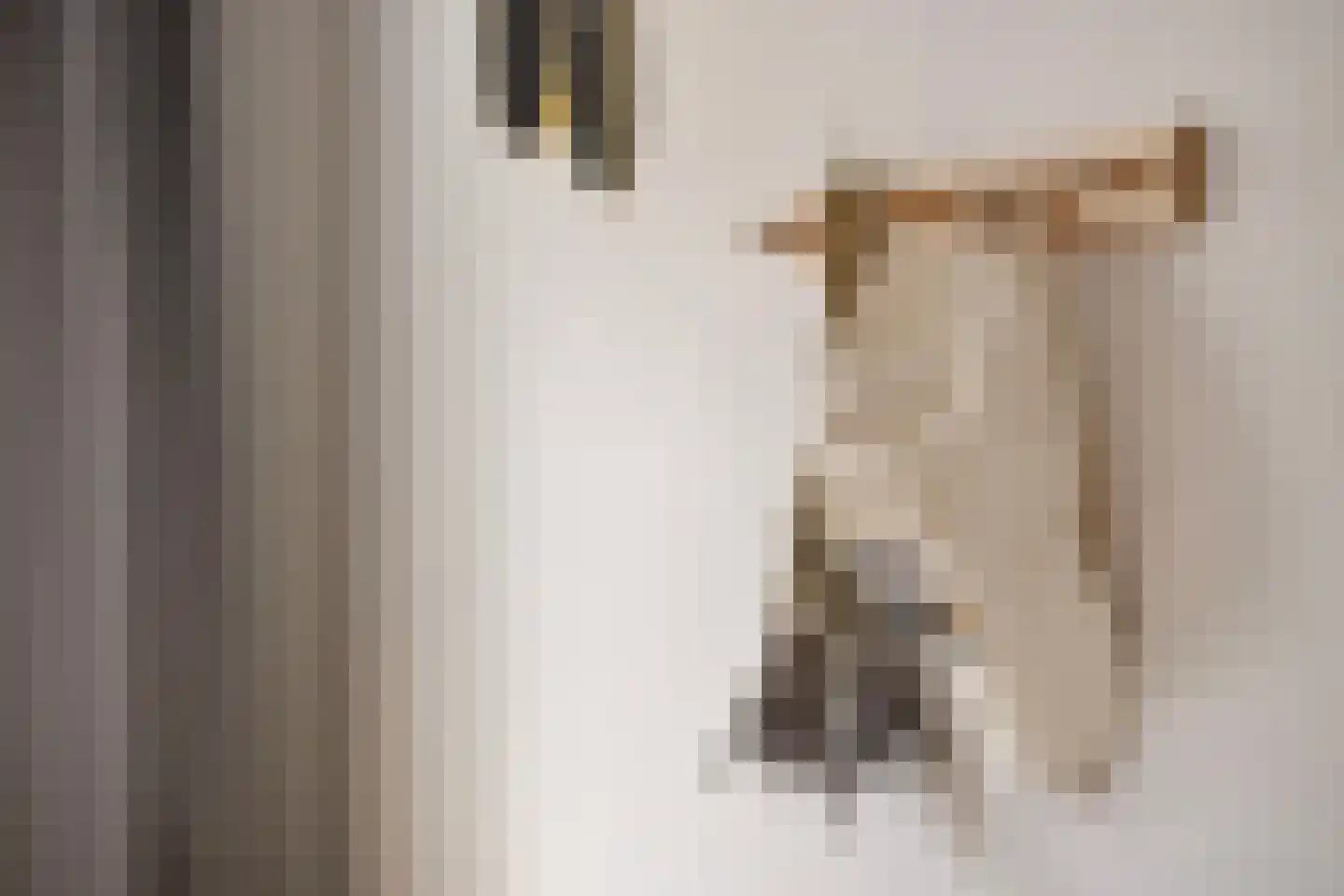 Wijstgrond 24 Boekel thumbnail 40