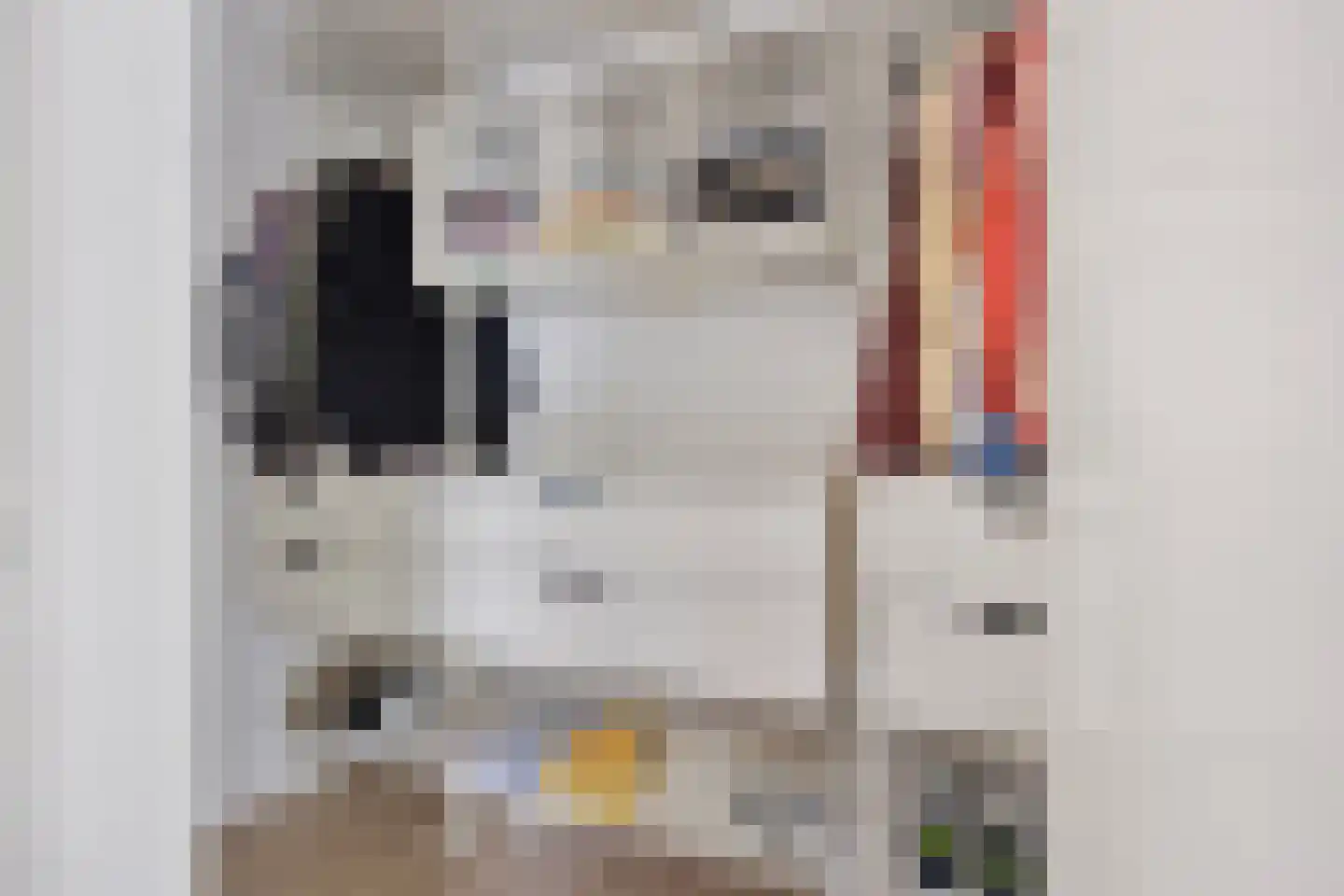 Wijstgrond 24 Boekel thumbnail 49
