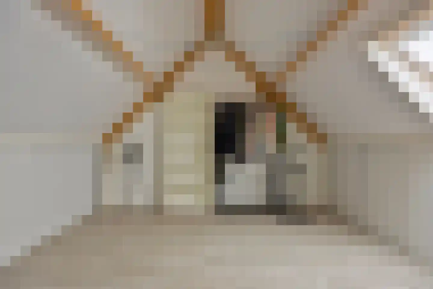 Wijstgrond 24 Boekel thumbnail 53