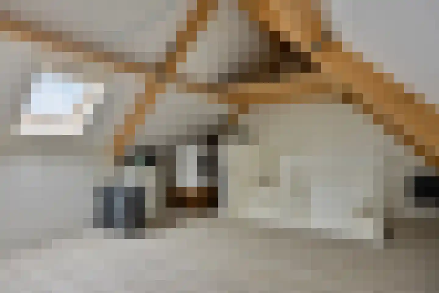 Wijstgrond 24 Boekel thumbnail 55