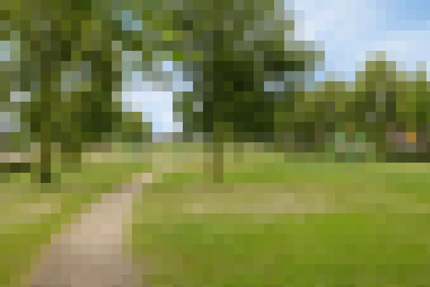 Wijstgrond 24 Boekel thumbnail 62