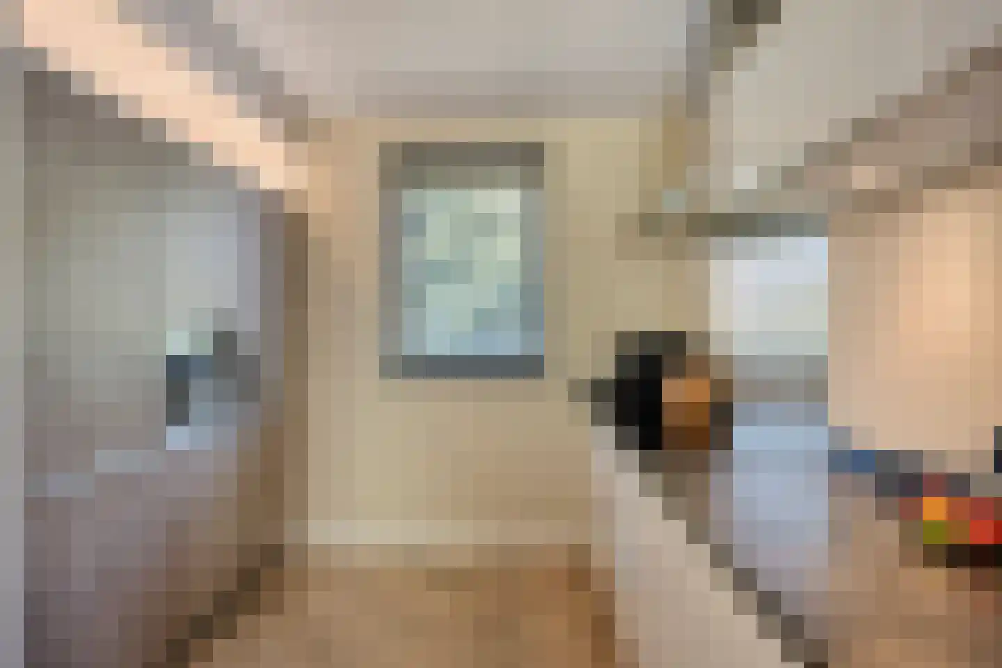 Wijstgrond 37 Boekel thumbnail 20