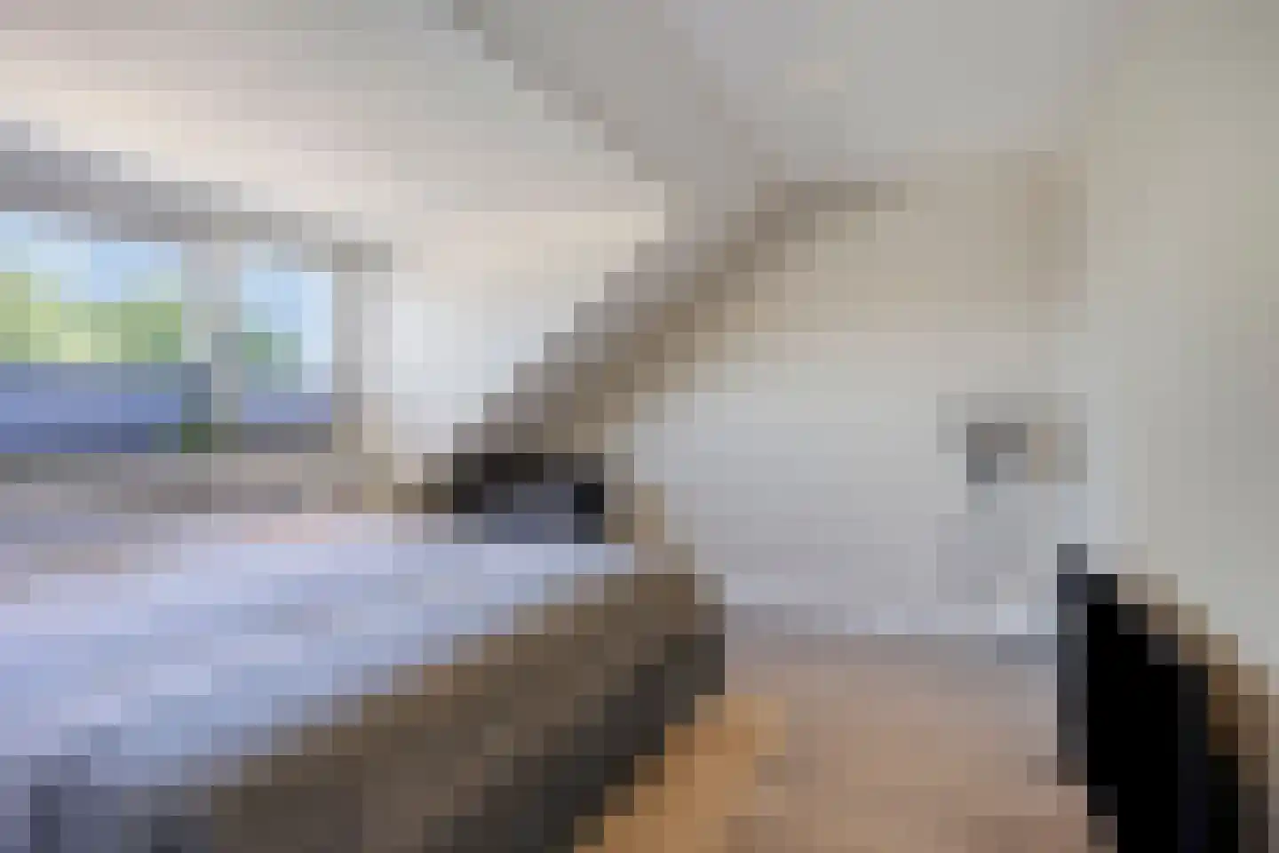 Wijstgrond 37 Boekel thumbnail 40