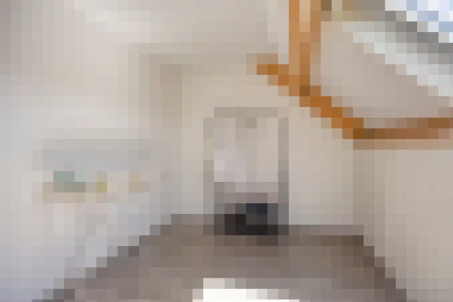 Wijstgrond 37 Boekel thumbnail 41