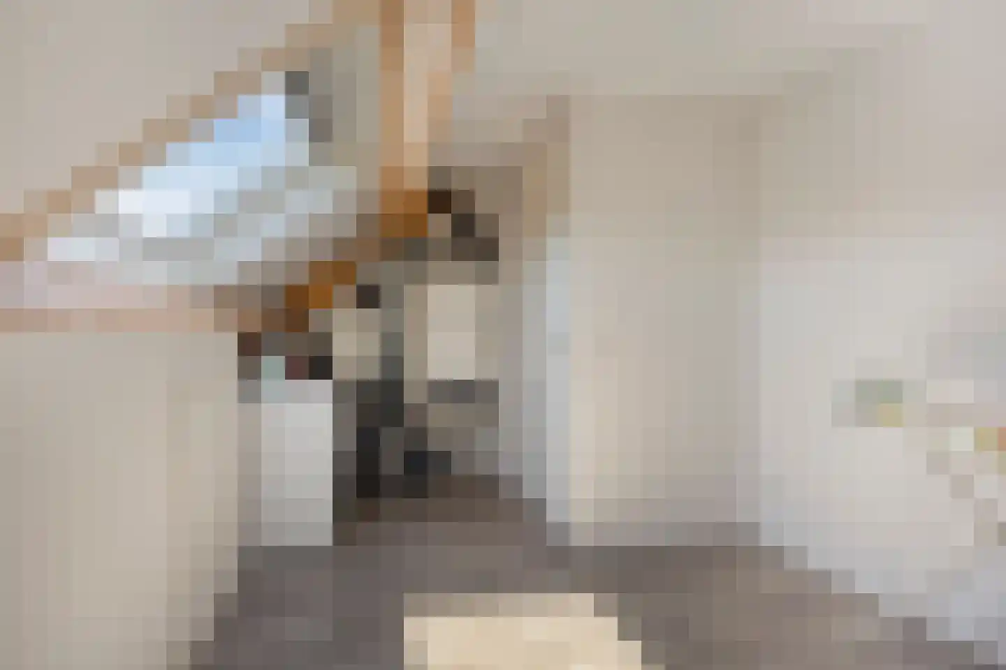 Wijstgrond 37 Boekel thumbnail 42