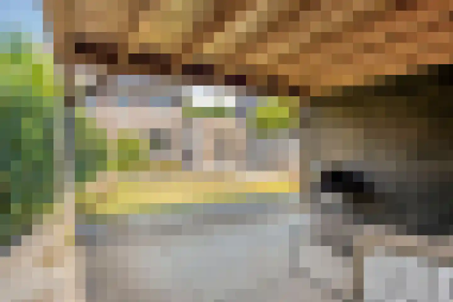 Wijstgrond 37 Boekel thumbnail 48