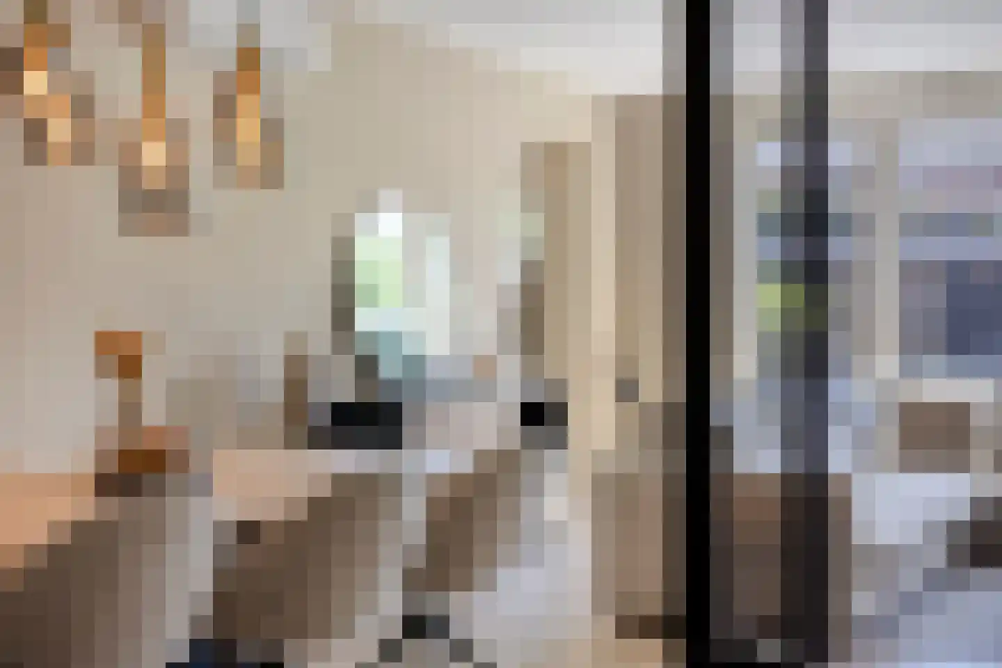 Wijstgrond 37 Boekel thumbnail 8