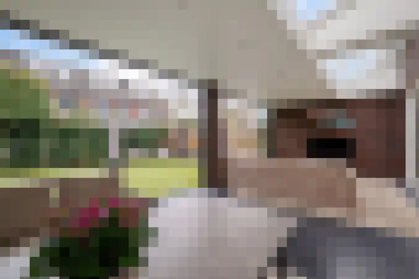 Wijstgrond 5 Boekel thumbnail 20