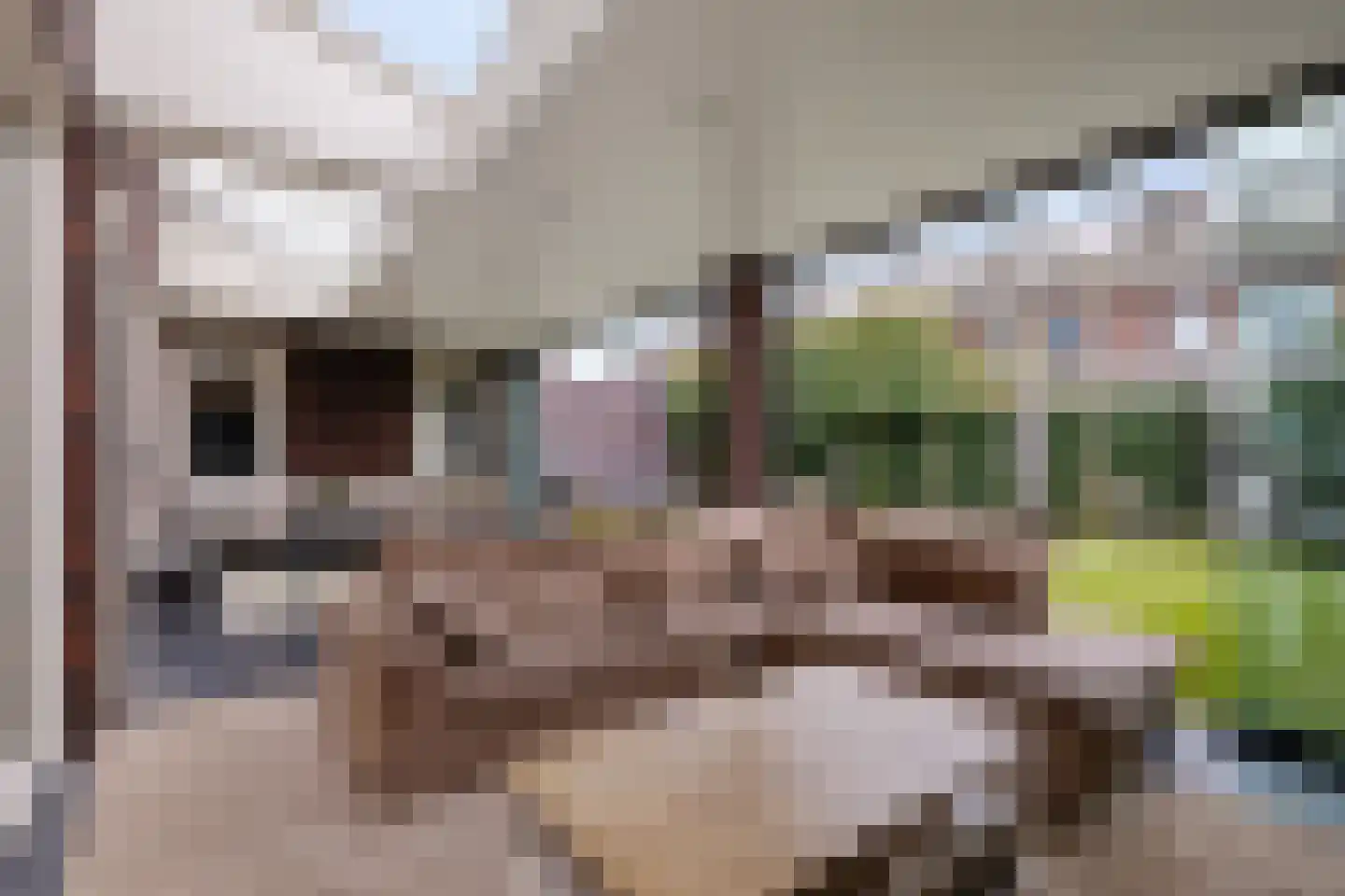 Wijstgrond 5 Boekel thumbnail 21
