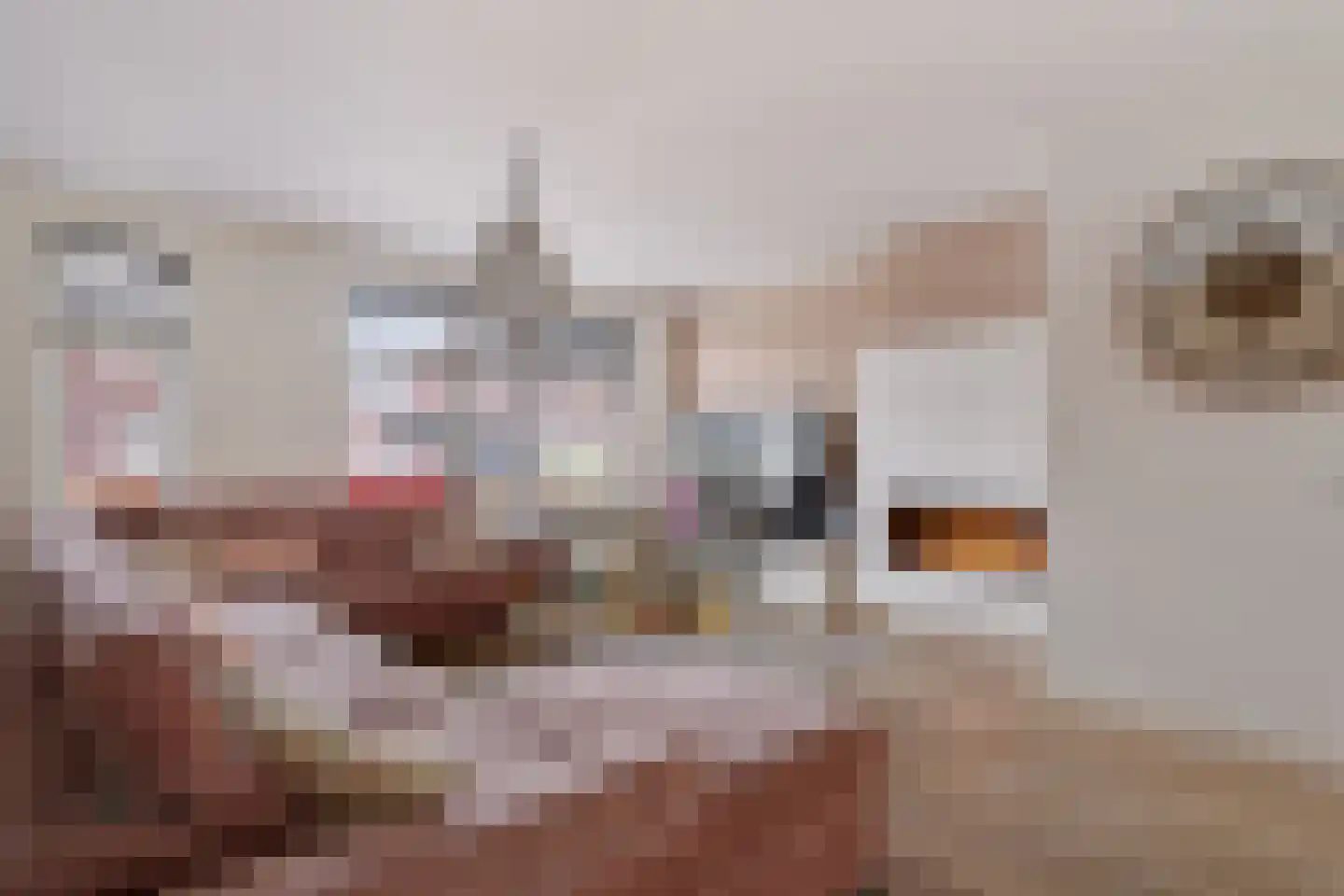 Wijstgrond 5 Boekel foto 3