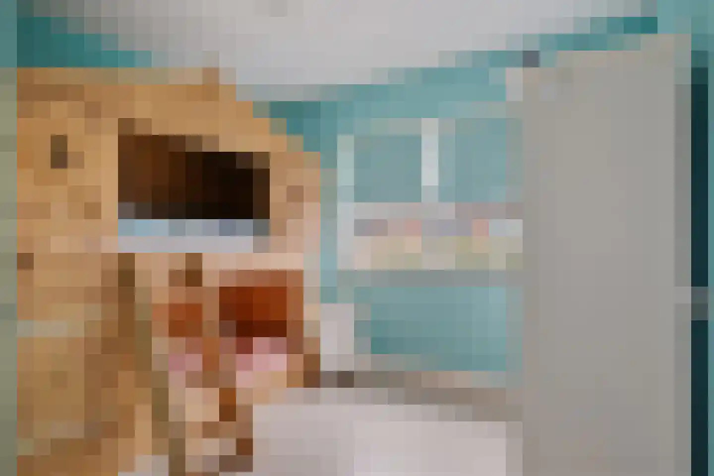 Wijstgrond 5 Boekel thumbnail 30