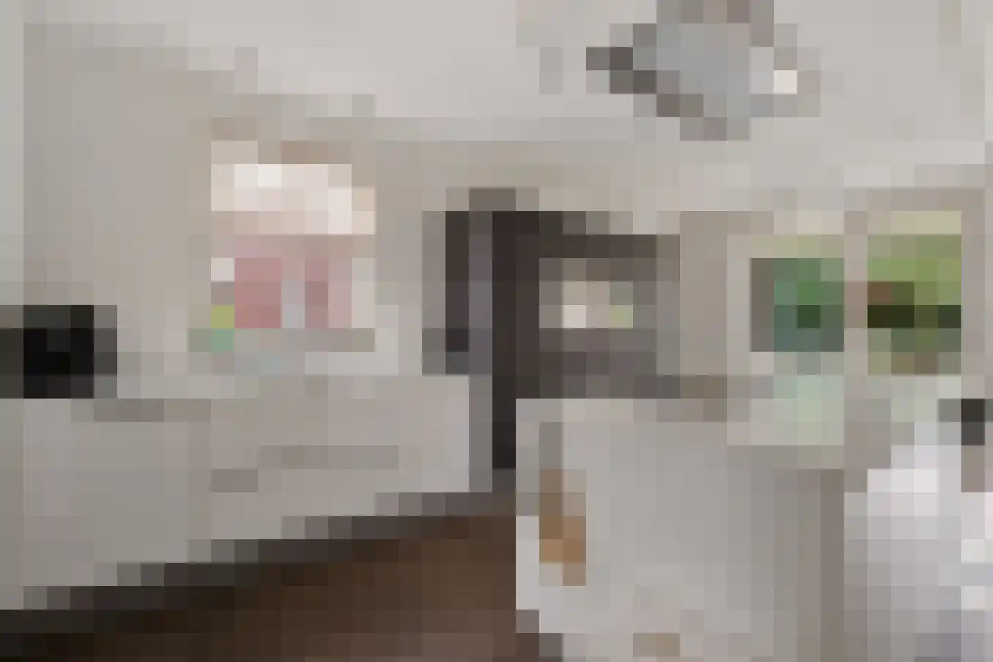 Wijstgrond 5 Boekel thumbnail 4