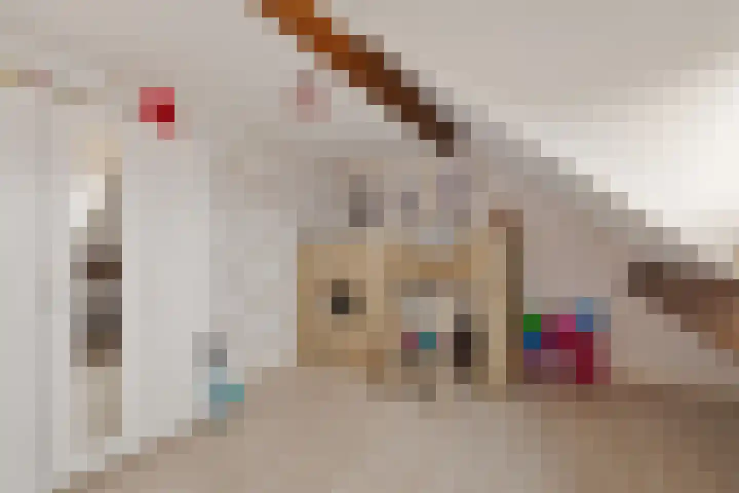 Wijstgrond 5 Boekel thumbnail 42