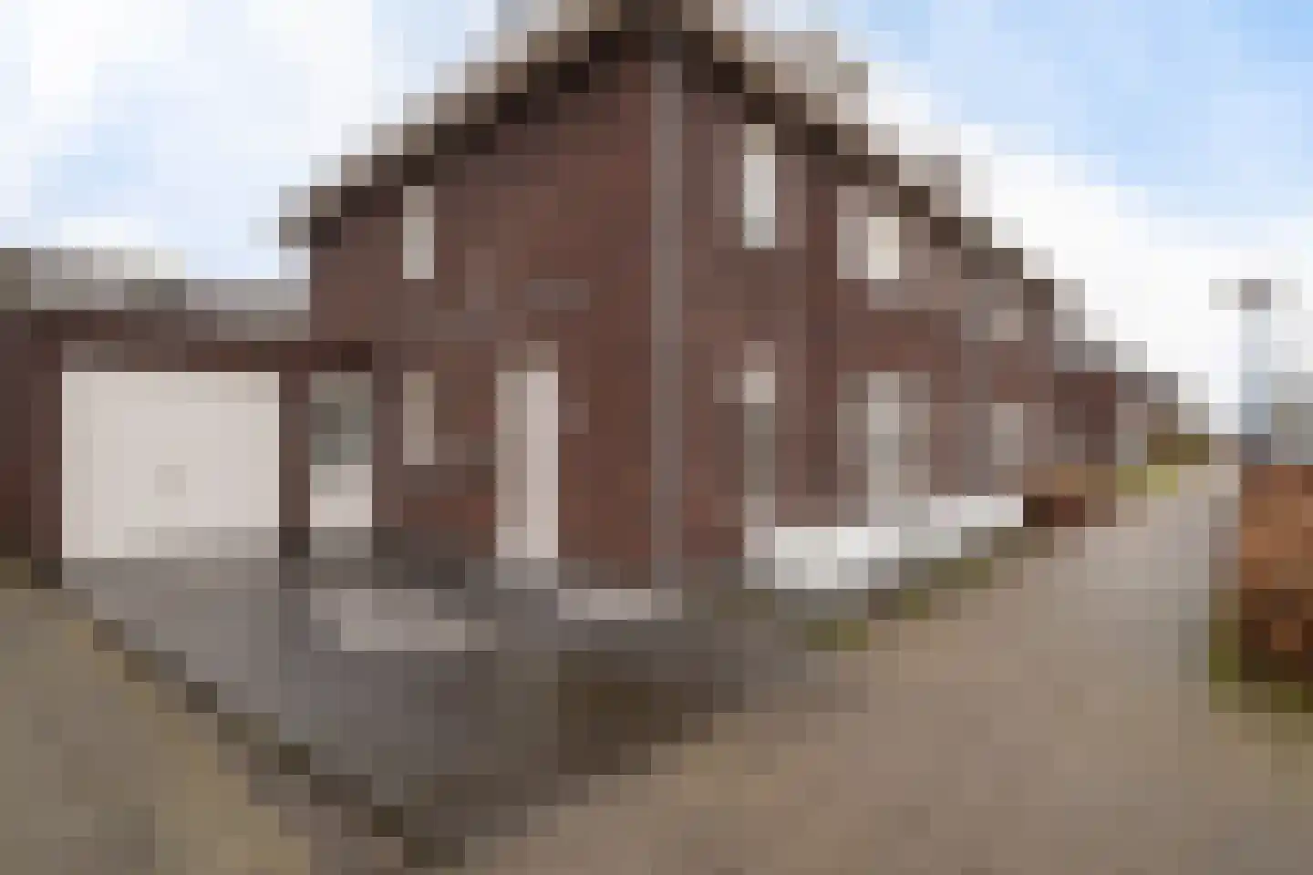 Wijstgrond 5 Boekel thumbnail 49