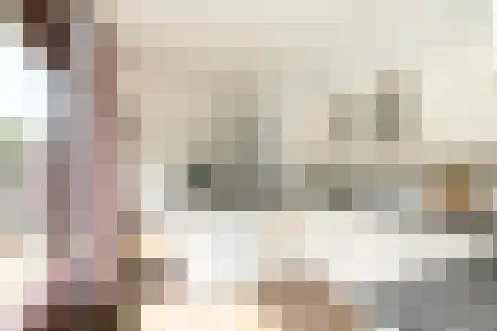 Wijsthoek 519 Uden thumbnail 22