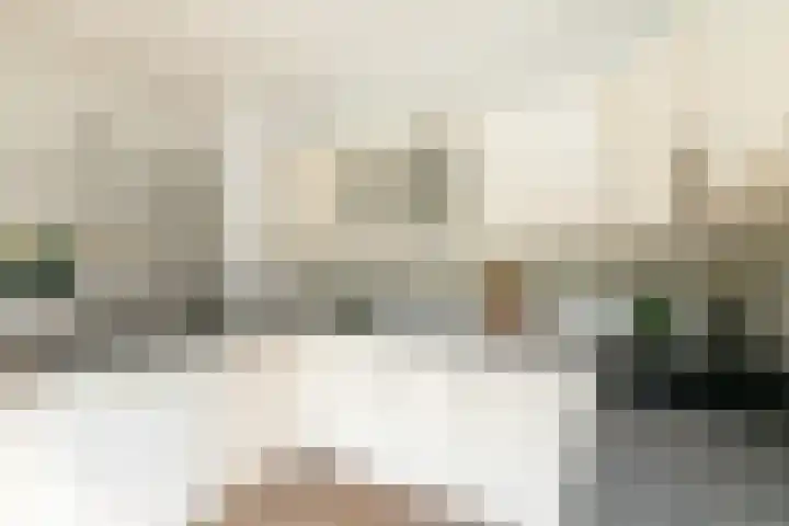 Wijsthoek 519 Uden thumbnail 23
