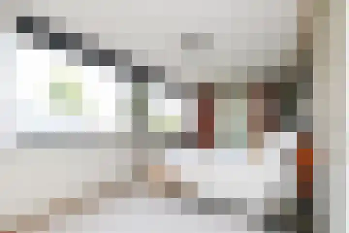 Wijsthoek 519 Uden thumbnail 28